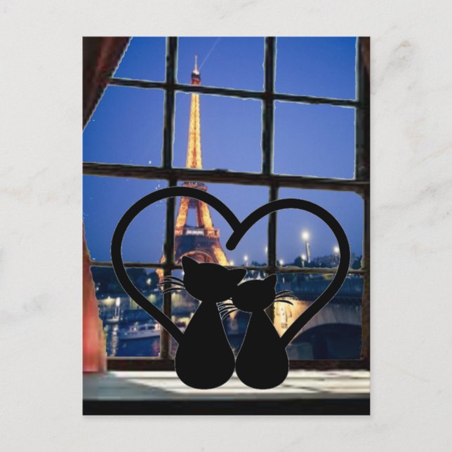 Katzen    in Paris Postkarte (Vorderseite)