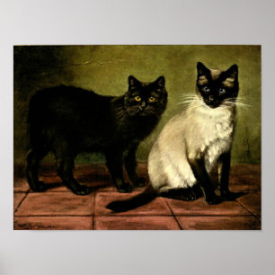Katzen in Schwarz-Weiß-Poster Poster