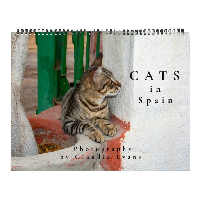 Katzen in Spanien Kalender (Titelbild)