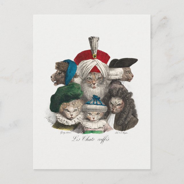 Katzen in Wigs und Hats Alberne Illustration Postkarte (Vorderseite)