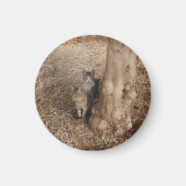 KATZEN IN WOODLAND MAGNET