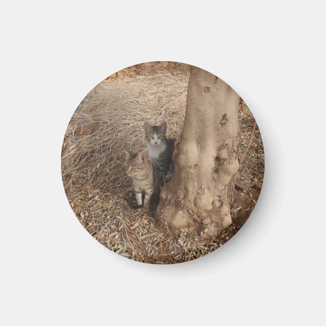 KATZEN IN WOODLAND MAGNET (Vorne)