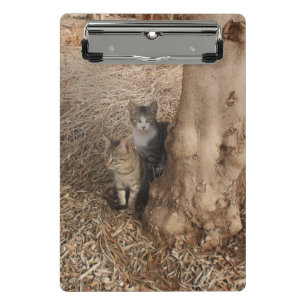 KATZEN IN WOODLAND MINI KLEMMBRETT