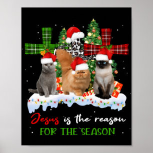 Katzen Jesus ist Grund für die Weihnachtsfeier häs Poster