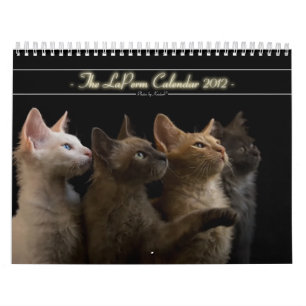 Katzen-Kalender 2012 Kalender