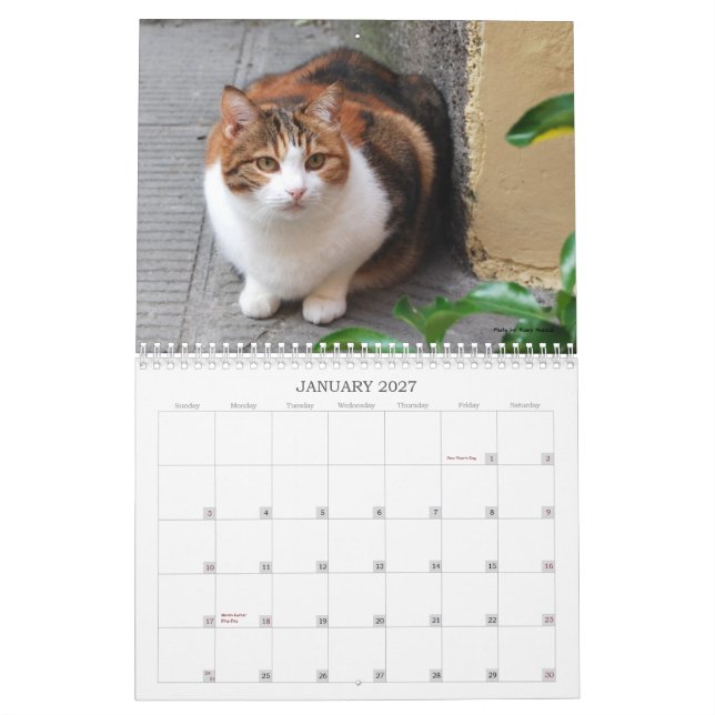 Katzen-Kalender 2013 Kalender (Jan 2027)