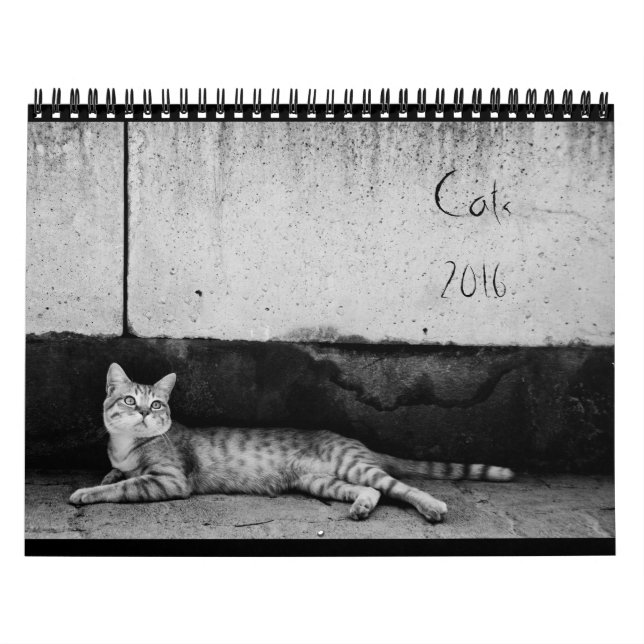 Katzen - Kalender 2016 (Titelbild)