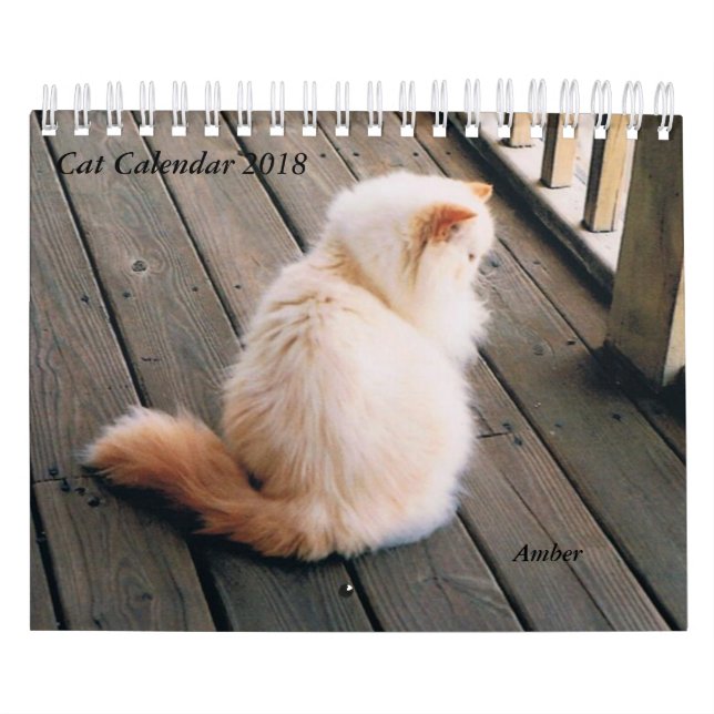Katzen-Kalender Kalender (Titelbild)