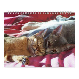 Katzen-Kalender Kalender
