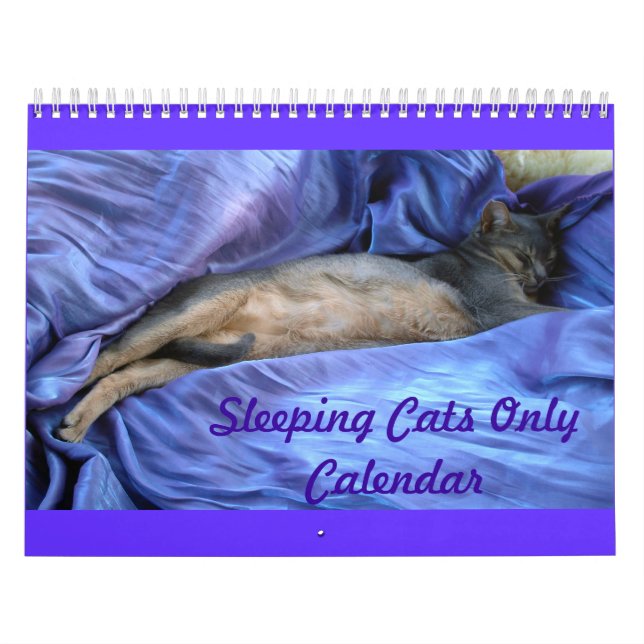 Katzen-Kalender Kalender (Titelbild)