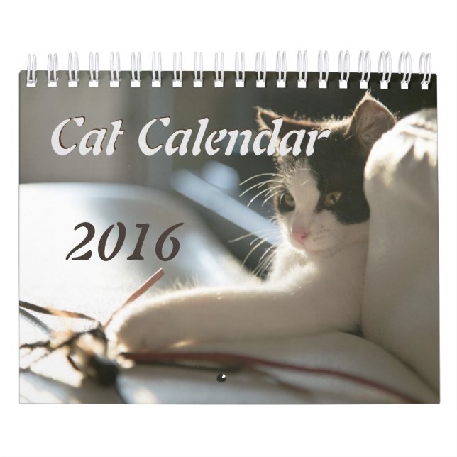 Katzen-Kalender Kalender (Titelbild)