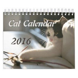 Katzen-Kalender Kalender