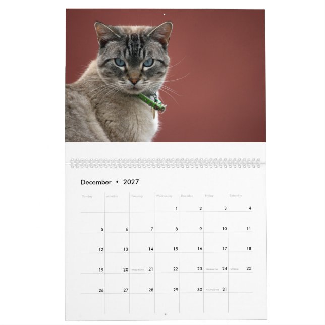 Katzen-Kalender Kalender (Dez 2027)
