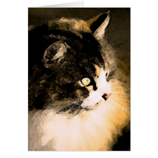 Katzen-Karte (Vorne)