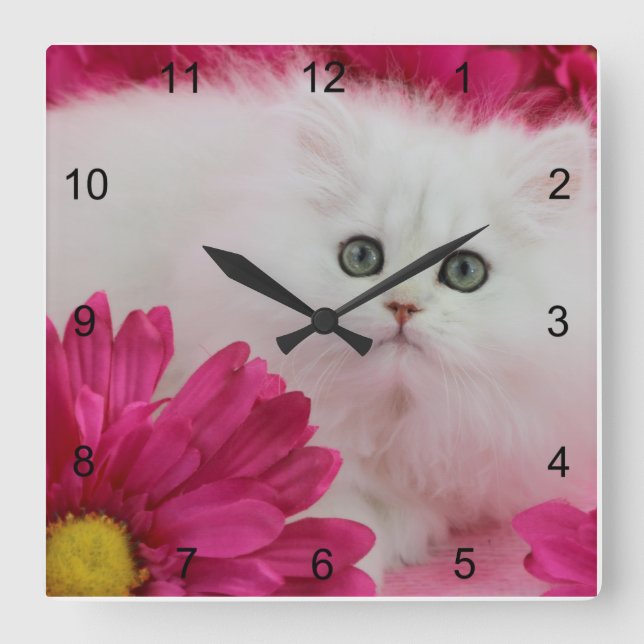 Katzen, Kätzchen, personifizieren, Pink, Quadratische Wanduhr (Vorderseite)