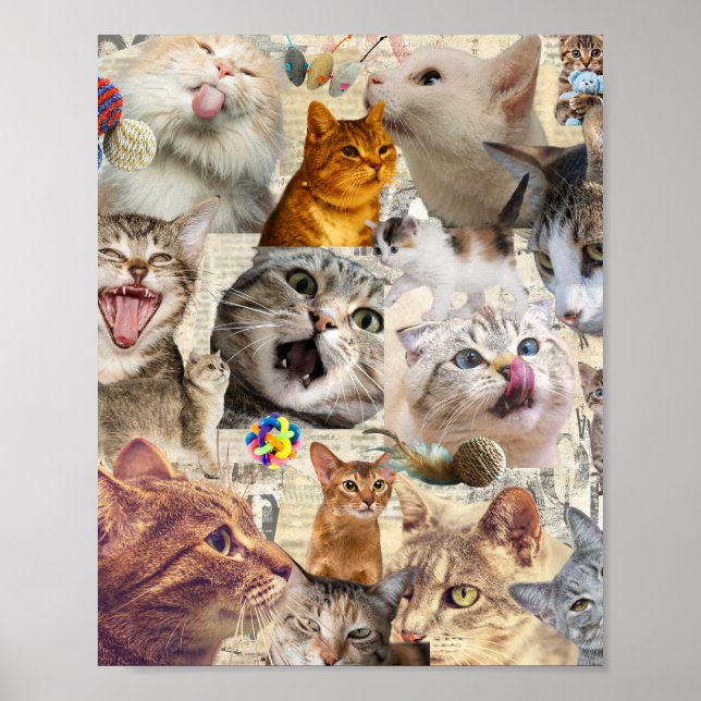 Katzen Katzen Katzen... Katzen Collage Poster (Vorne)