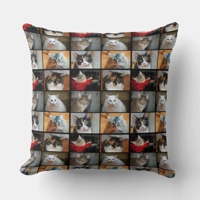 Katzen Katzen Katzen Kissen (Vorderseite)