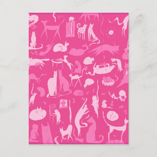 Katzen! Katzen! Katzen! Postkarte (Vorderseite)