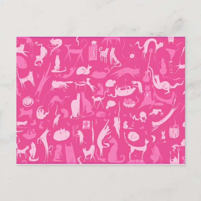 Katzen! Katzen! Katzen! Postkarte (Vorderseite)