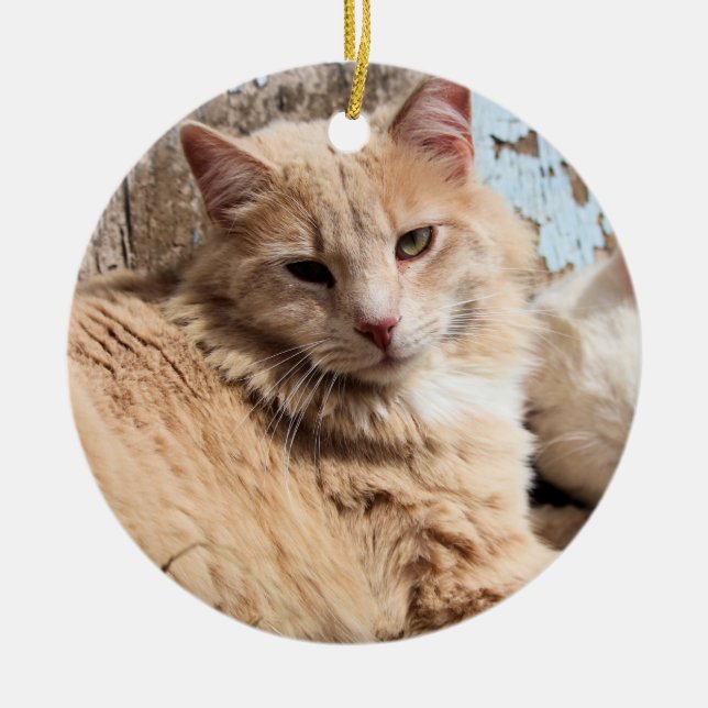 Katzen Keramik Ornament (Vorne)