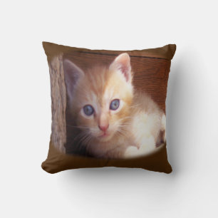 Katzen Kissen