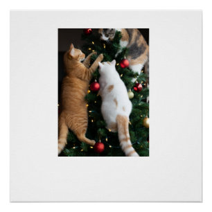 Katzen klettern im Weihnachtsbaum  Poster