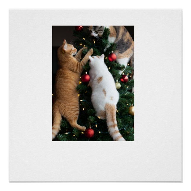 Katzen klettern im Weihnachtsbaum  Poster (Vorderseite)