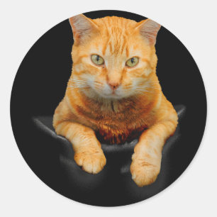 Katzen Kreative Katzenmotive Runder Aufkleber