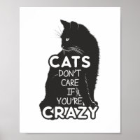 Katzen kümmern sich nicht, wenn du verrückter Spaß