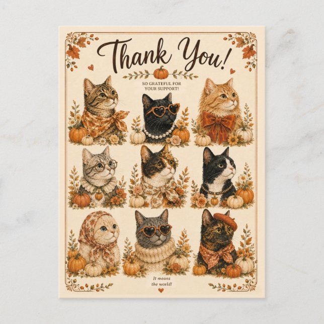 Katzen-Kürbis-Tier-Geschenk Postkarte (Vorderseite)