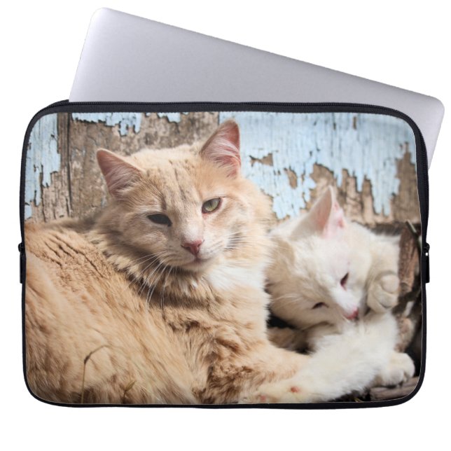Katzen Laptopschutzhülle (Vorderseite)