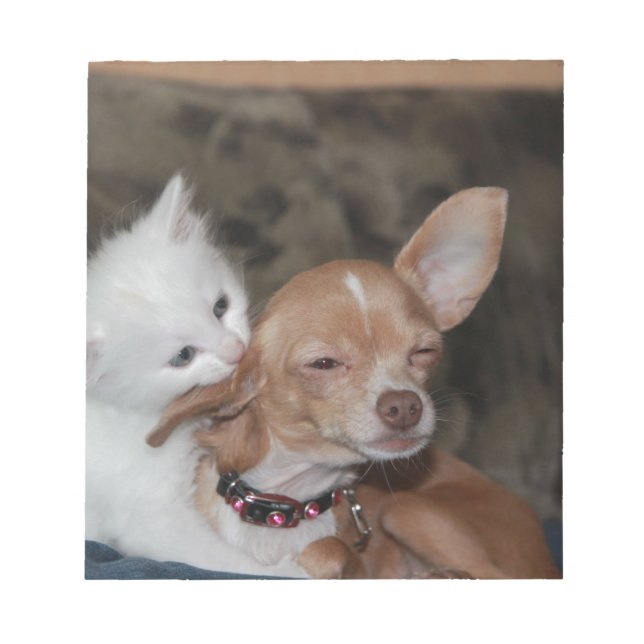 Katzen lecken Hund Notizblock (Vorderseite)