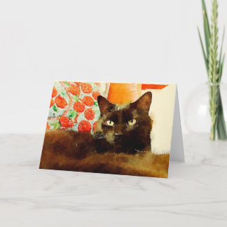 Katzen-leere Gruß-Karte Karte