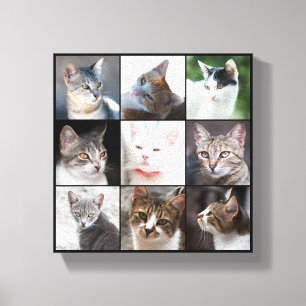 KATZEN LEINWANDDRUCK