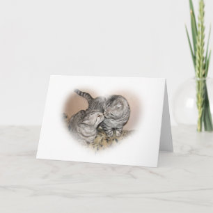 Katzen-Liebe Grußkarte Karte