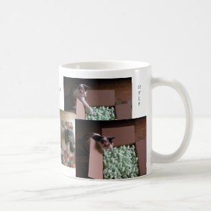 Katzen-Liebe, Tasse zu helfen