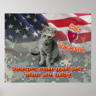 Katzen Liebe Veteranen - Plakat