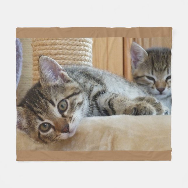 Katzen-Liebhaber-Fleece-Decke Fleecedecke (Vorderseite (Horizontal))