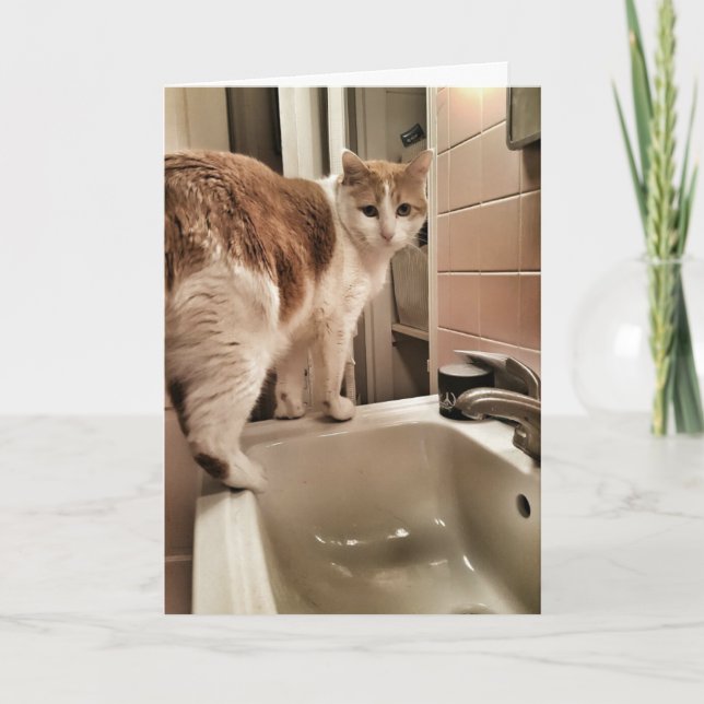 Katzen-Liebhaber-lustiger Geburtstag Karte (Vorderseite)