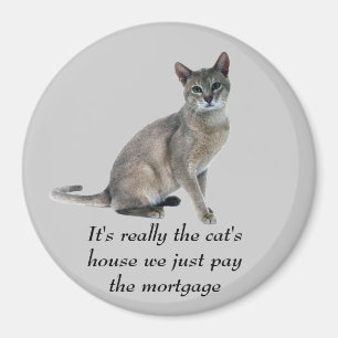 Katzen-Magnet Magnet