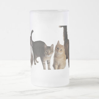 Katzen  mattglas bierglas