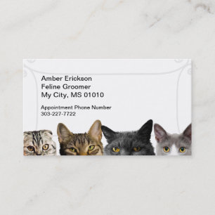 Katzen-Menge Visitenkarten Terminkarte