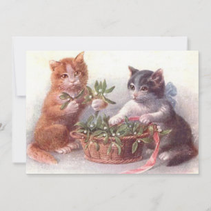 Katzen & Mistletoe