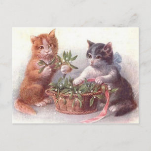 Katzen & Mistletoe Postkarte