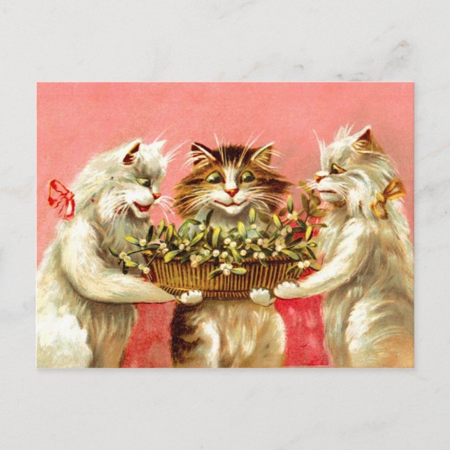 Katzen mit Mistletoe Postkarte (Vorderseite)