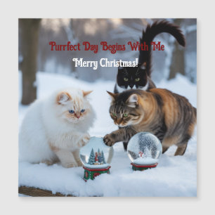 Katzen mit Schneekugeln Maßgeschneiderte Magnetkar Magnetkarte