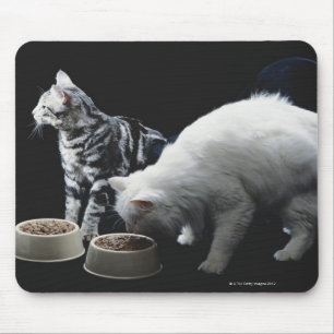 Katzen mit Schüssel Nahrung Mousepad