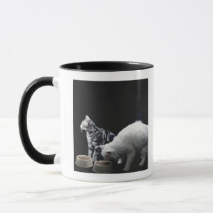 Katzen mit Schüssel Nahrung Tasse