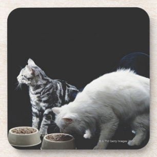 Katzen mit Schüssel Nahrung Untersetzer