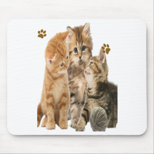 Katzen Mousepad